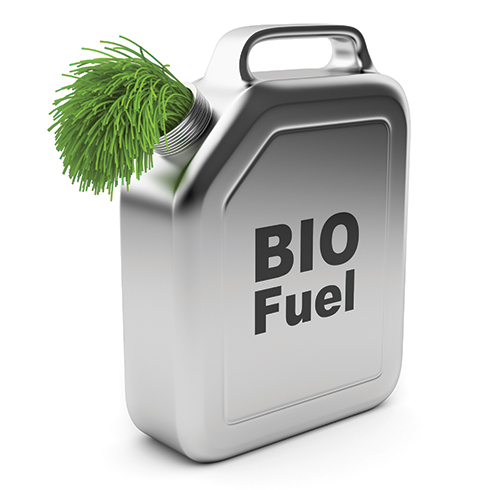 BIO Fuel