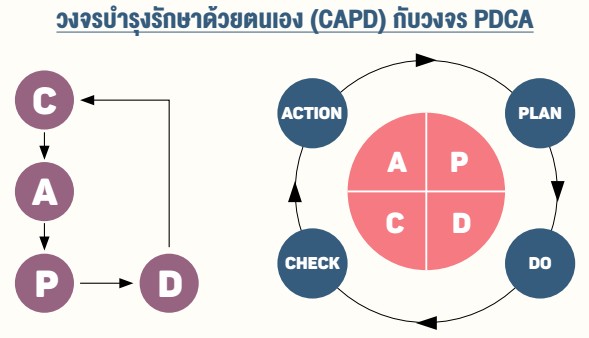 วงจรบ�ารุงรักษาด้วยตนเอง (CAPD) กับวงจร PDCA