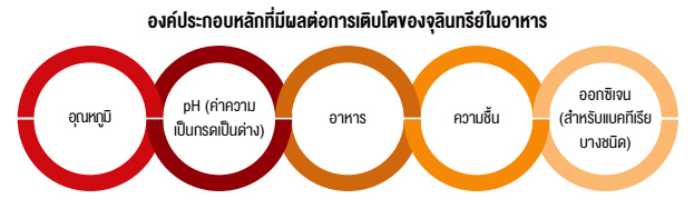 องค์ประกอบหลักที่มีผลต่อการเติบโตของจุลินทรีย์ในอาหาร