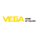 VEGA INSTRUMENTS CO LTD